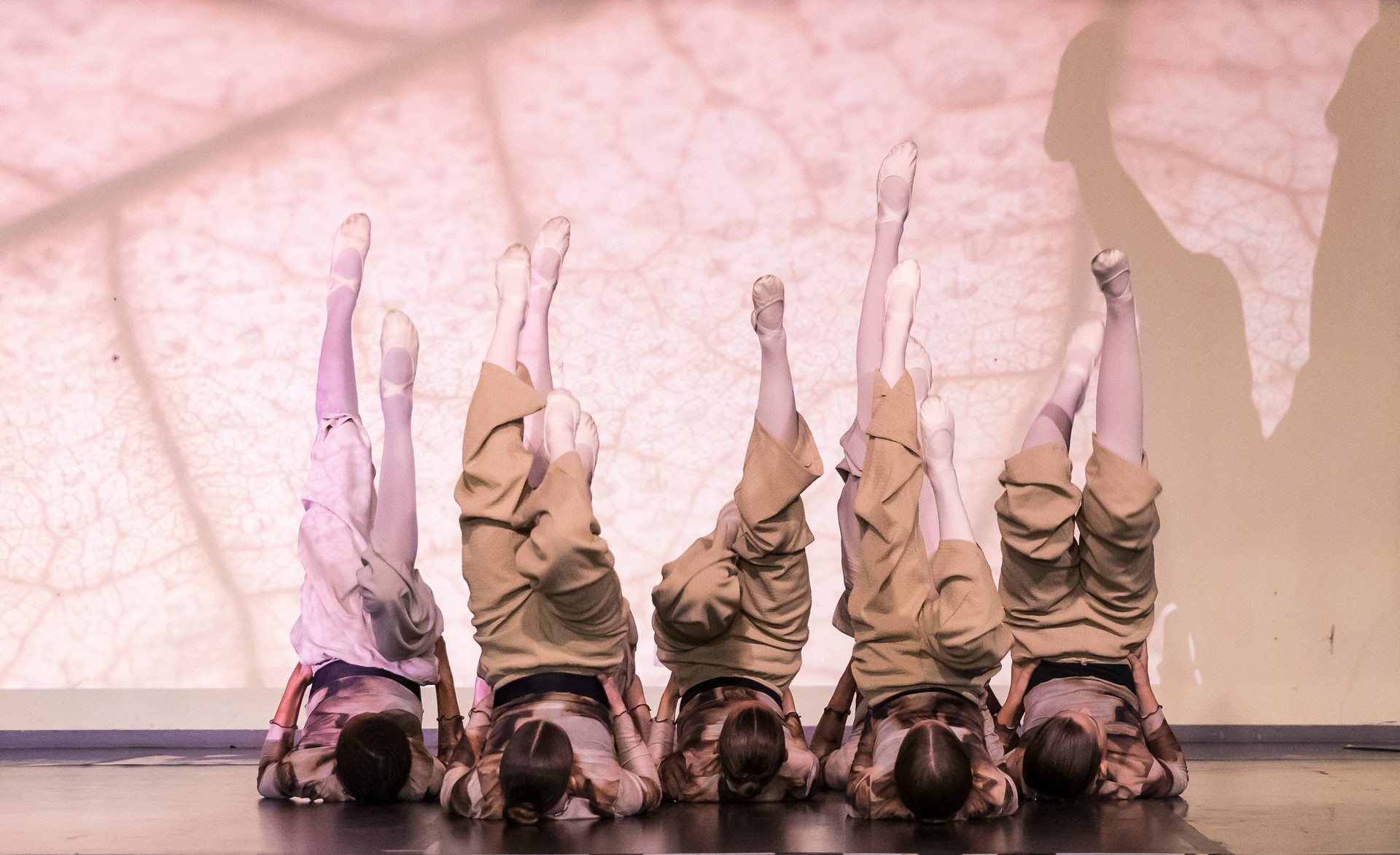 Fünf Tänzerinnen im Schulterstand vor rosa Blattprojektion – Aufführung der Ballettschule tanzahrt
